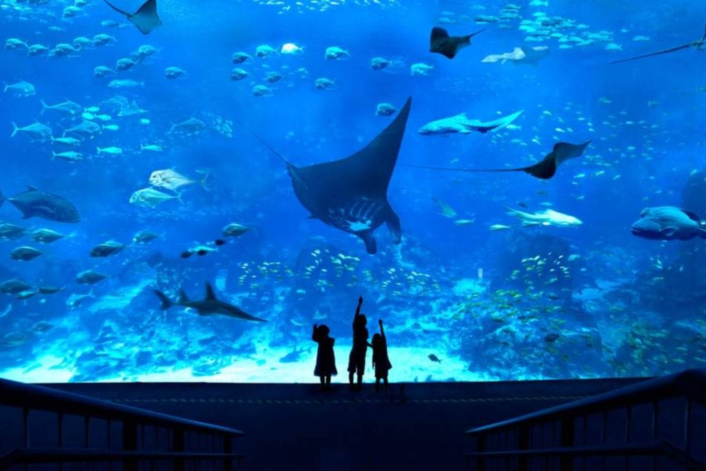 Singapore Aquarium