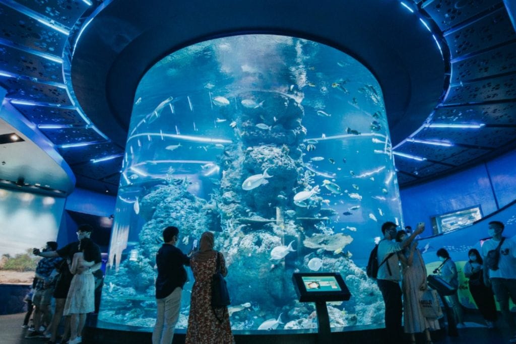 Singapore SEA Aquarium