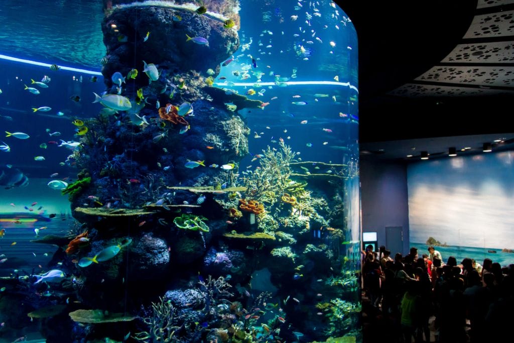 Singapore SEA Aquarium
